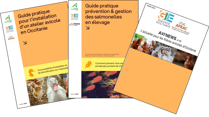 guide avi